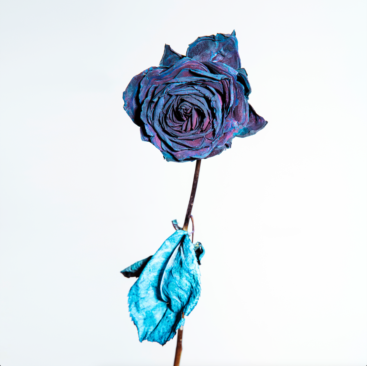 And its Blue